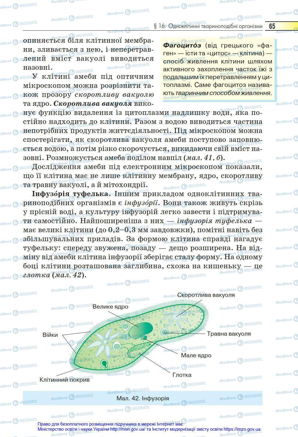 Підручники Біологія 6 клас сторінка 65