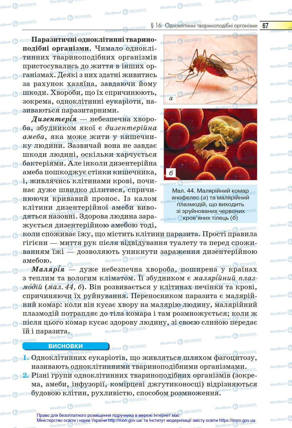 Підручники Біологія 6 клас сторінка 67