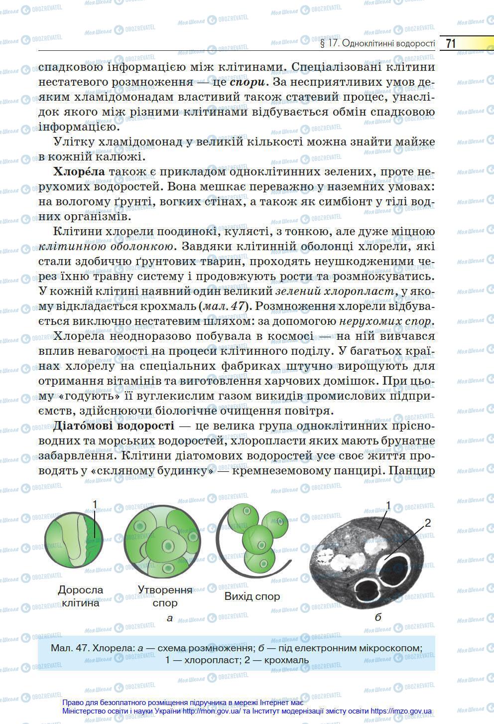 Підручники Біологія 6 клас сторінка 71