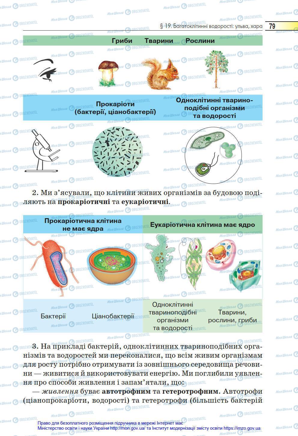 Підручники Біологія 6 клас сторінка 79