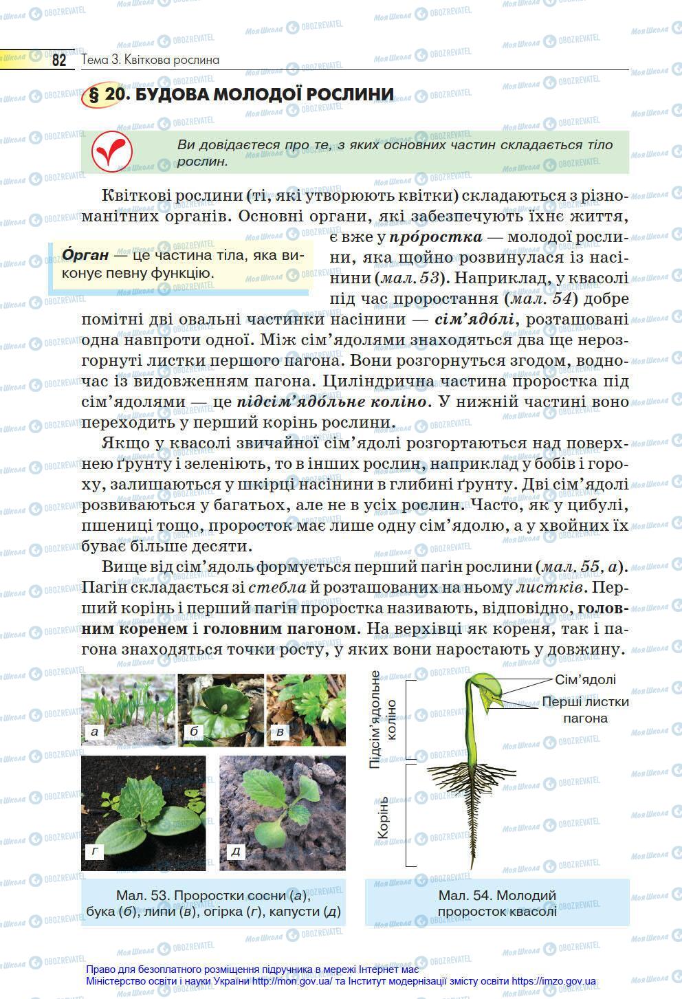 Підручники Біологія 6 клас сторінка 82