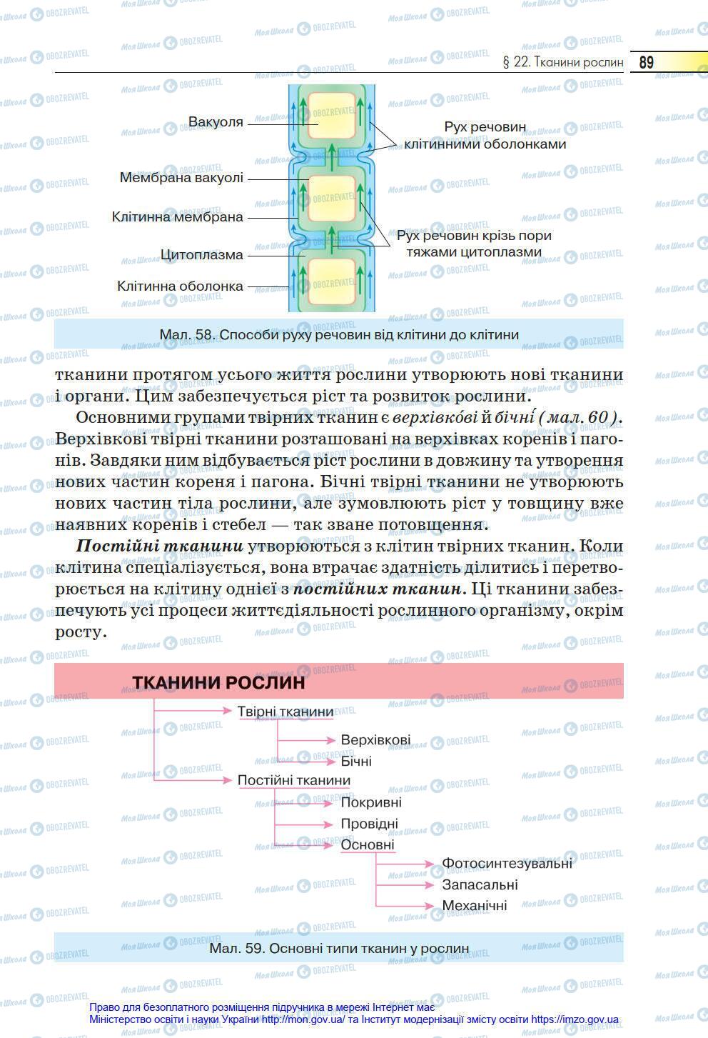 Учебники Биология 6 класс страница 89