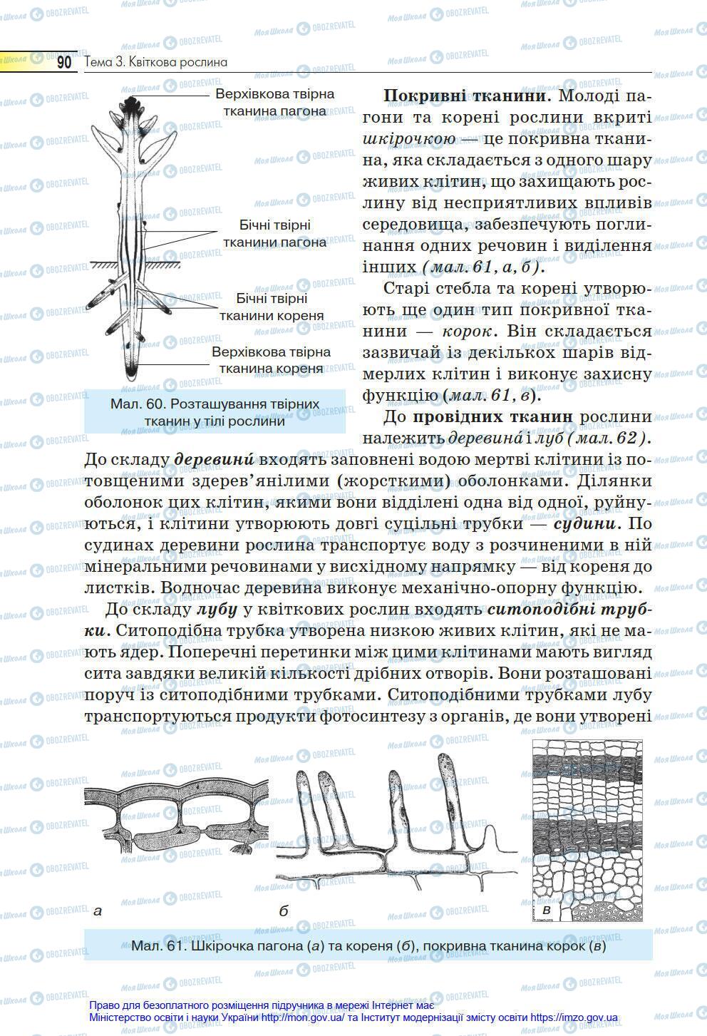 Підручники Біологія 6 клас сторінка 90