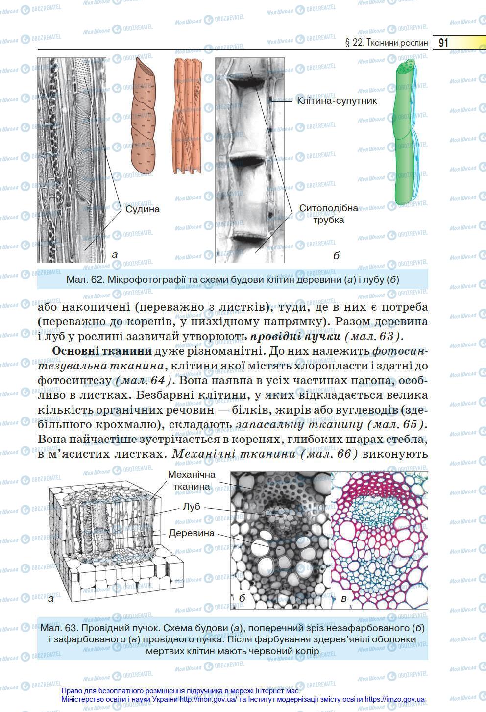 Підручники Біологія 6 клас сторінка 91