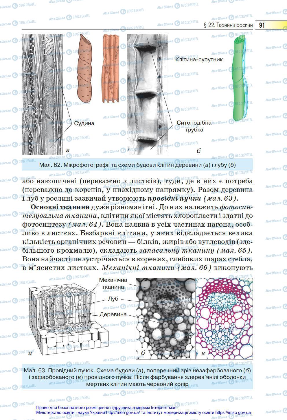 Учебники Биология 6 класс страница 91
