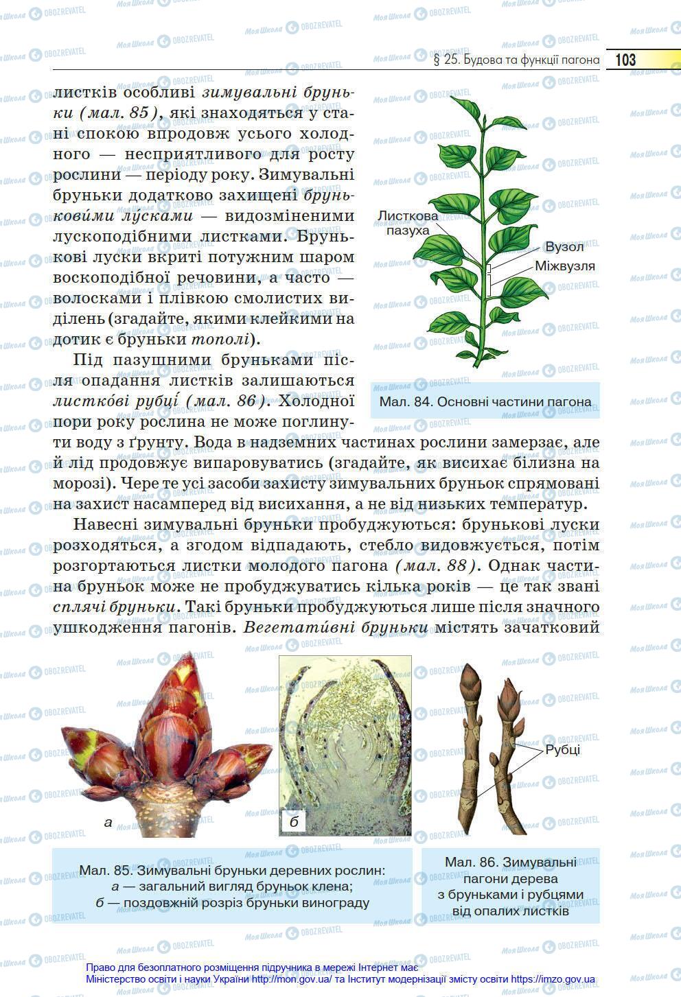 Підручники Біологія 6 клас сторінка 103