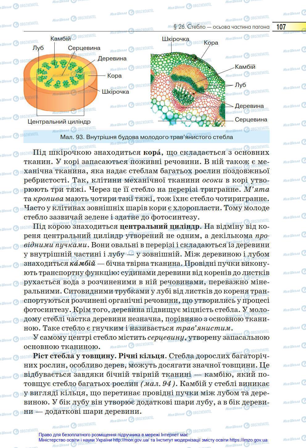 Підручники Біологія 6 клас сторінка 107