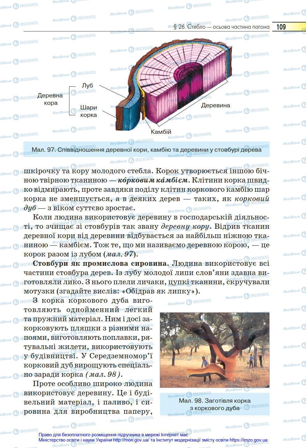 Підручники Біологія 6 клас сторінка 109