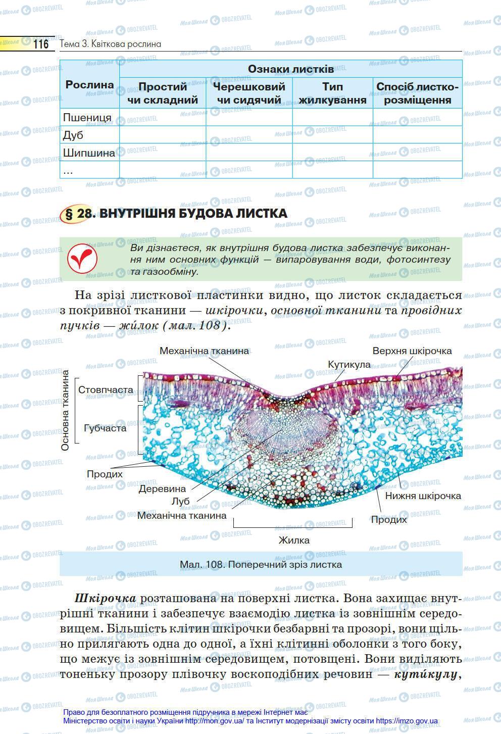 Підручники Біологія 6 клас сторінка 116