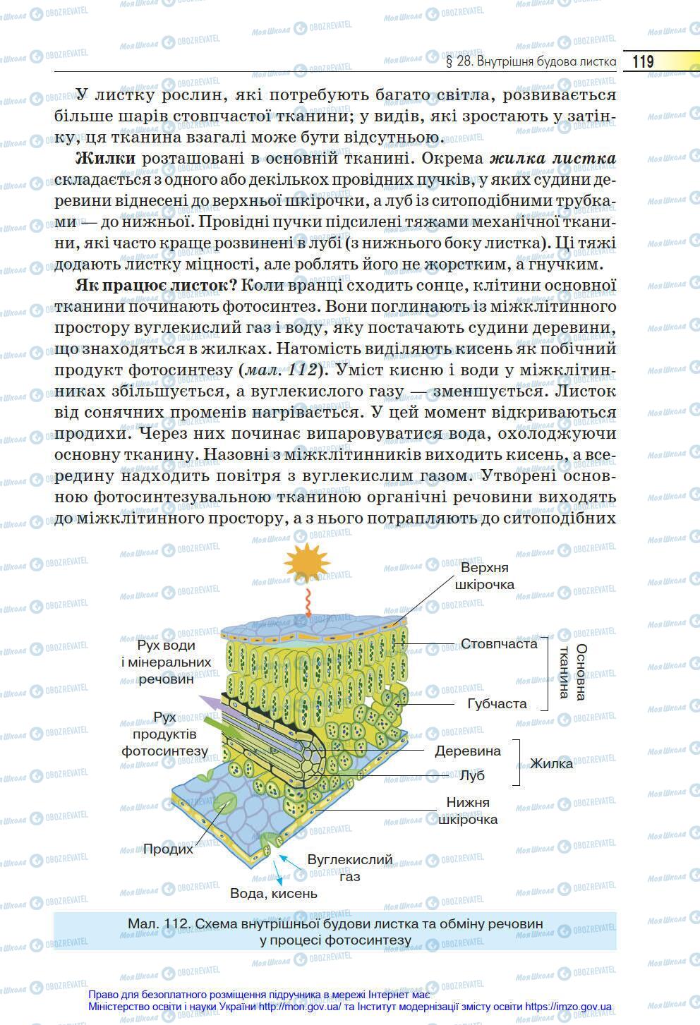 Підручники Біологія 6 клас сторінка 119