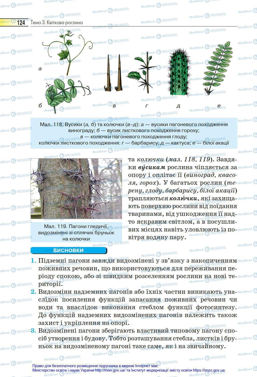 Учебники Биология 6 класс страница 124