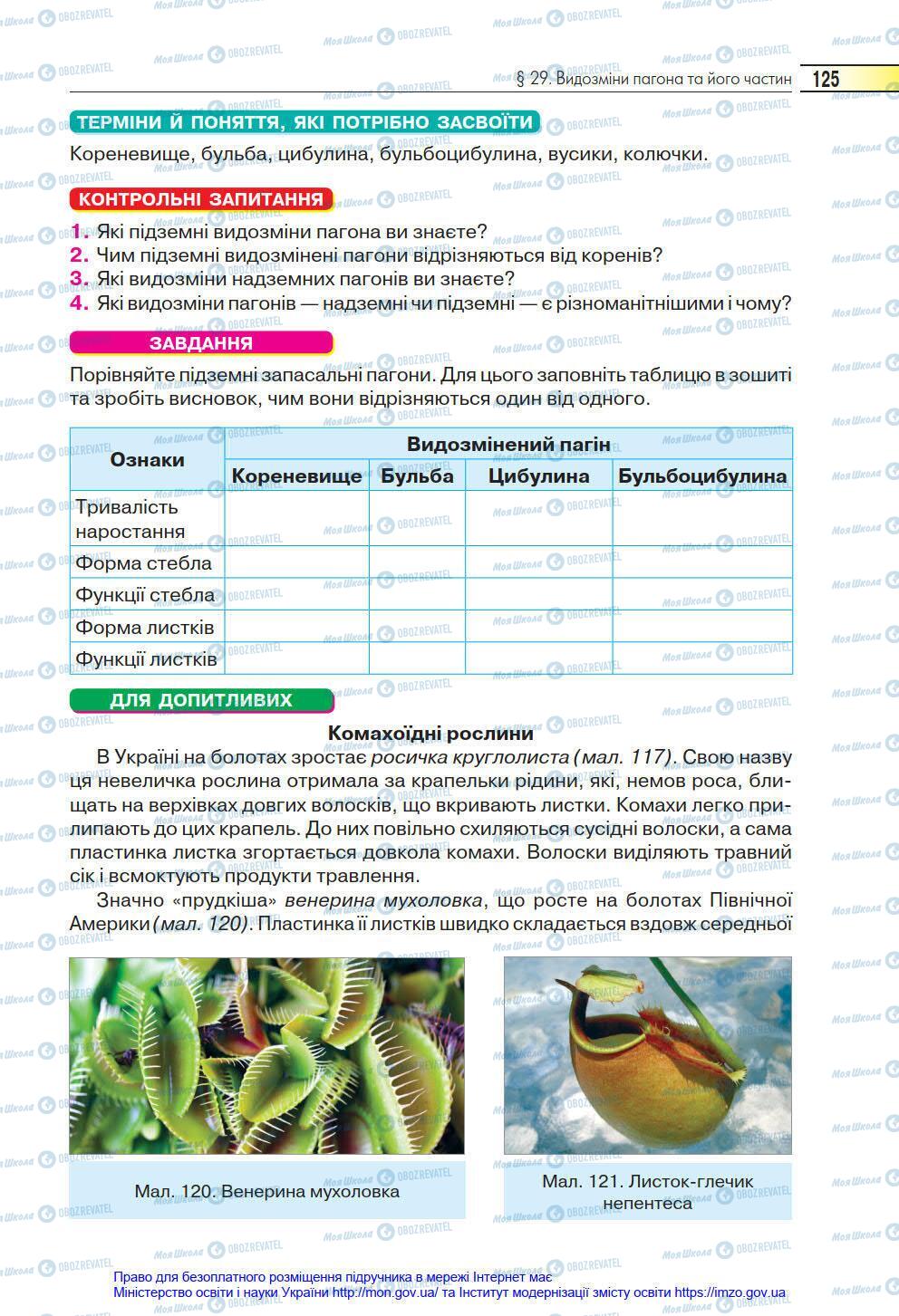 Підручники Біологія 6 клас сторінка 125