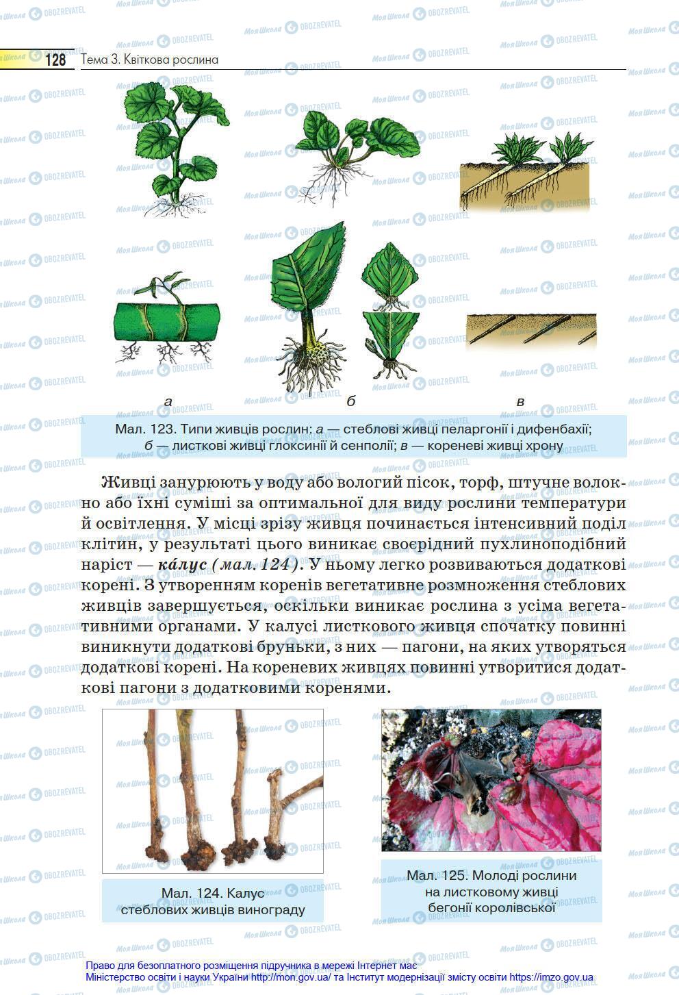 Підручники Біологія 6 клас сторінка 128