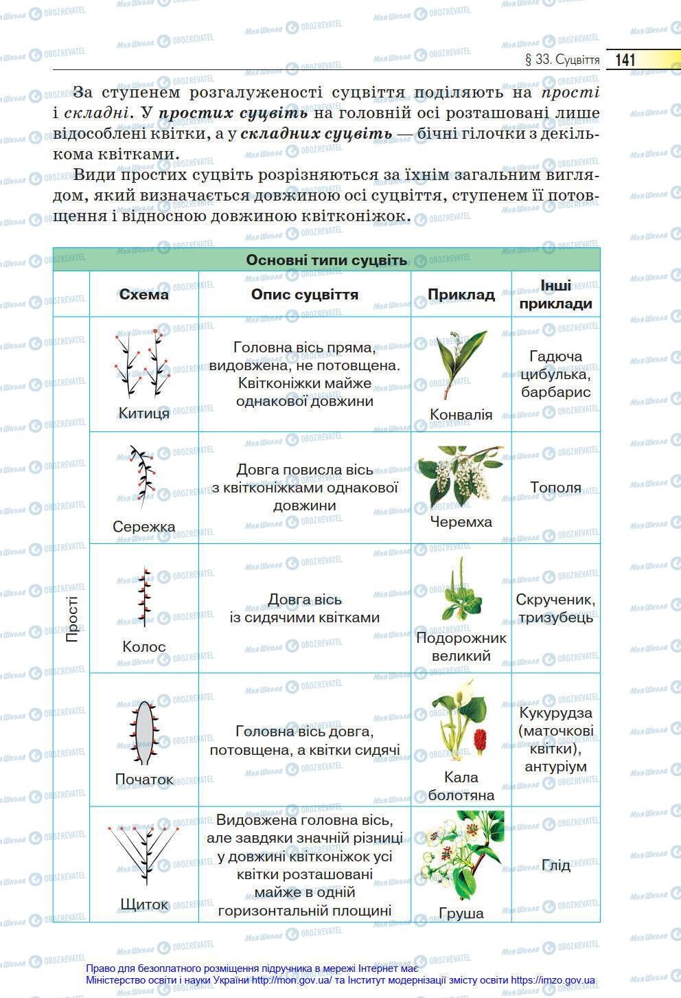 Підручники Біологія 6 клас сторінка 141