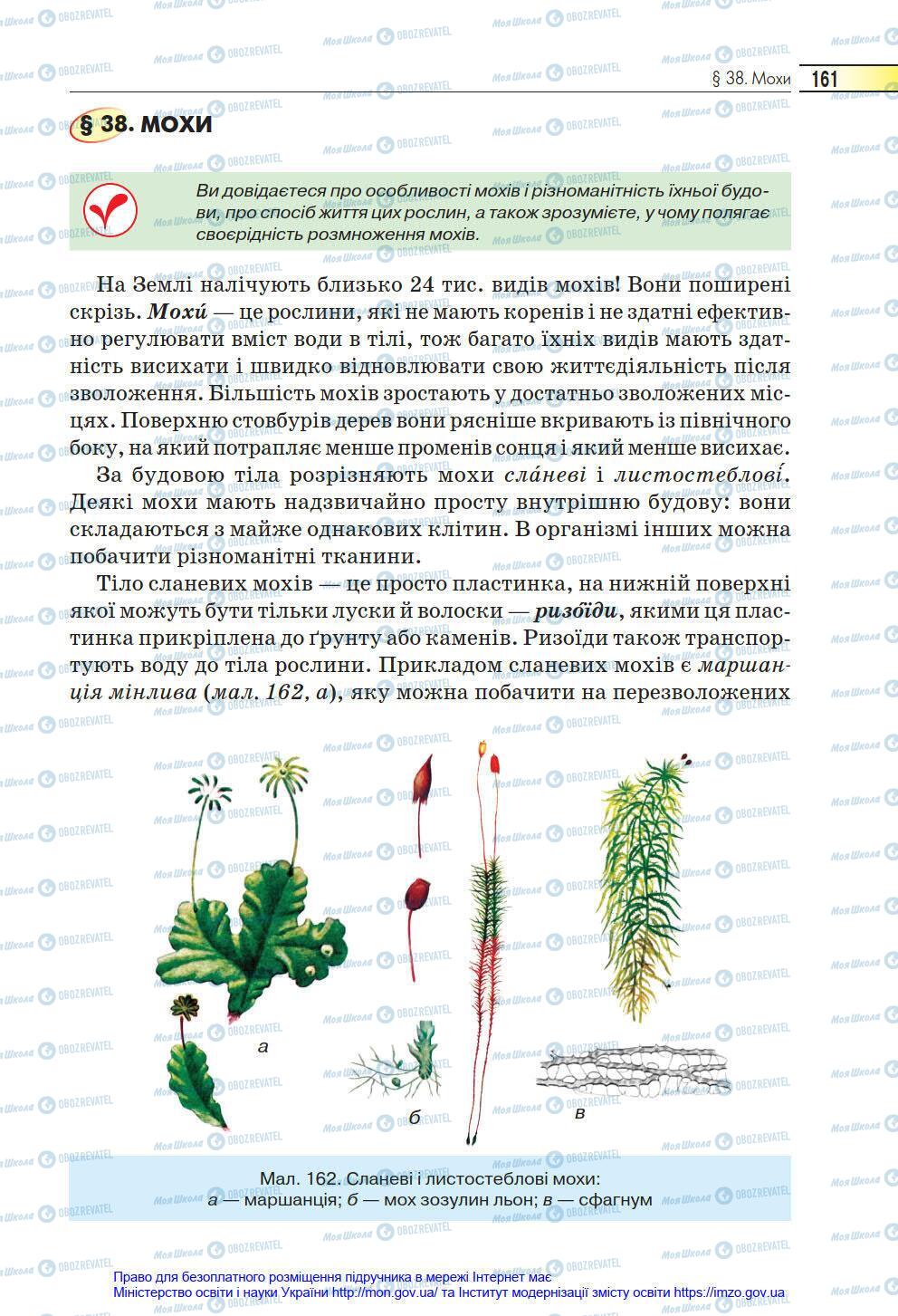 Підручники Біологія 6 клас сторінка 161