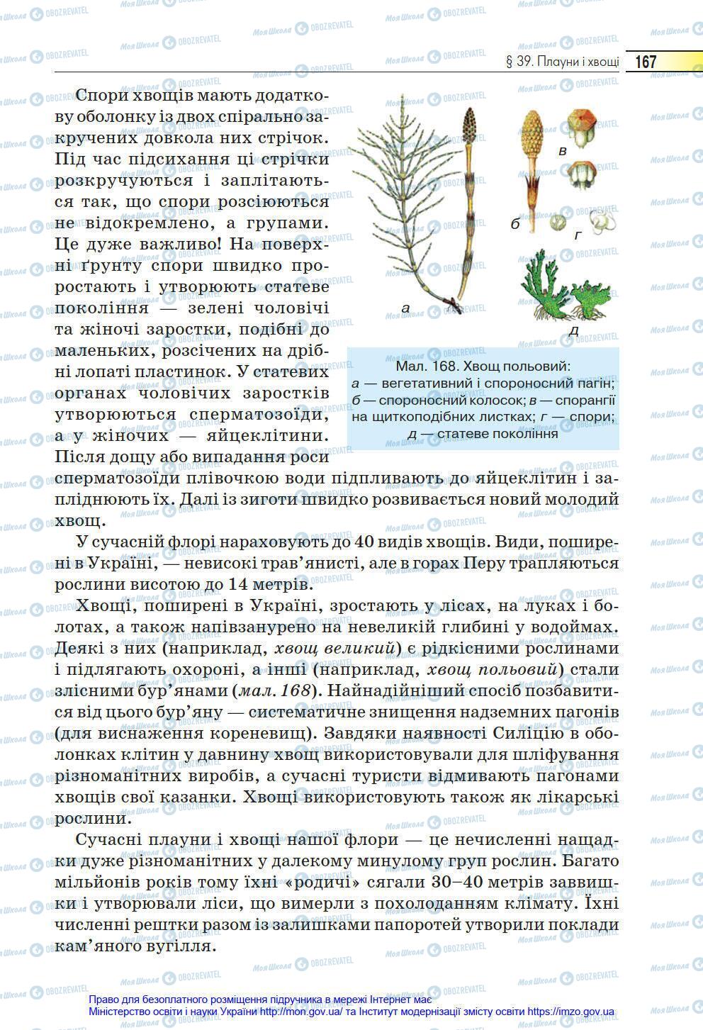 Підручники Біологія 6 клас сторінка 167