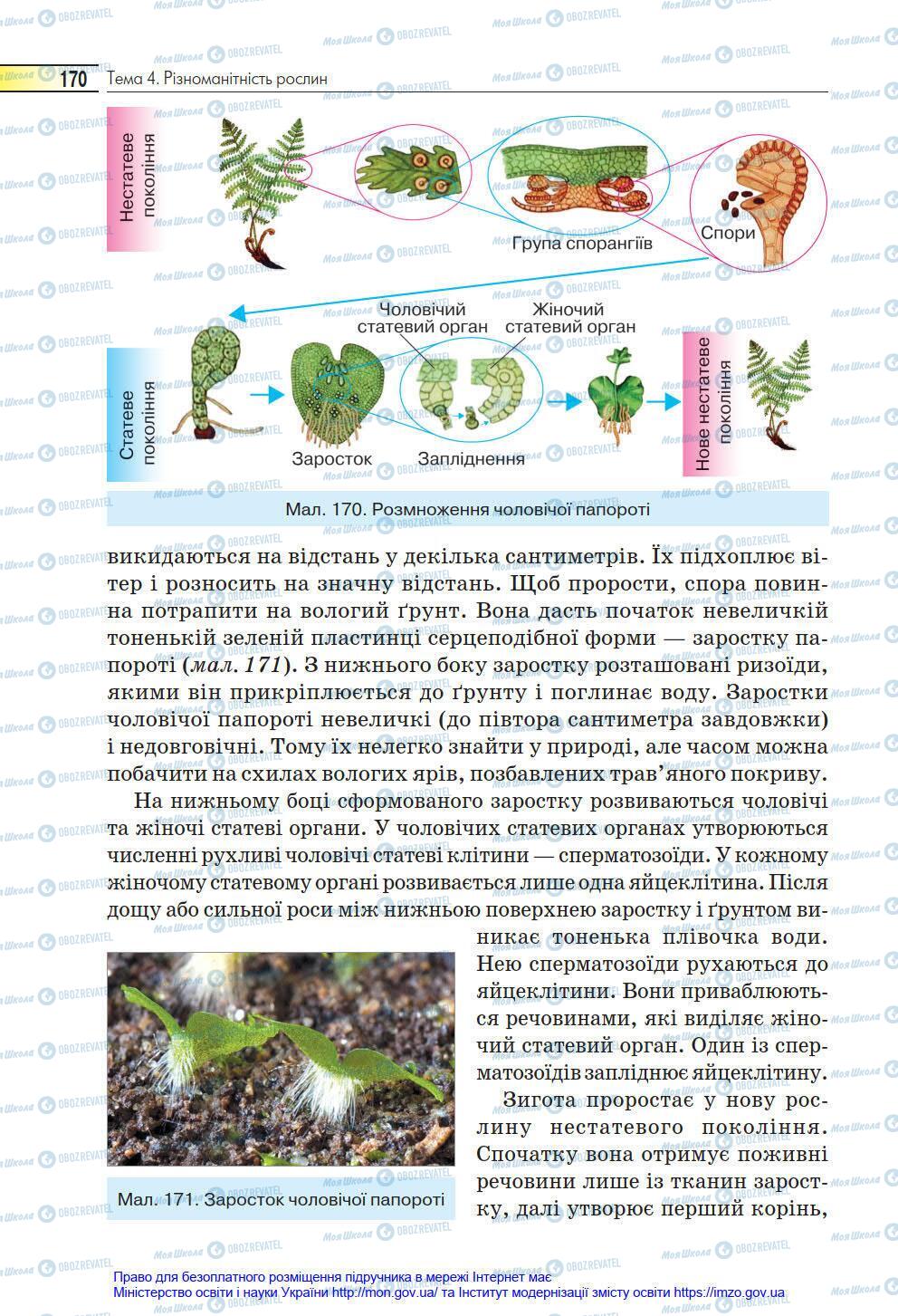 Підручники Біологія 6 клас сторінка 170