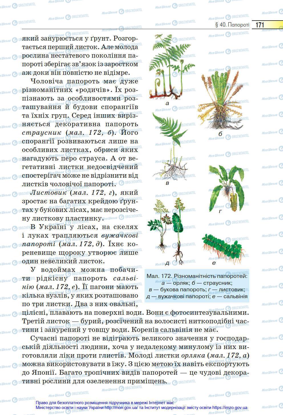 Учебники Биология 6 класс страница 171