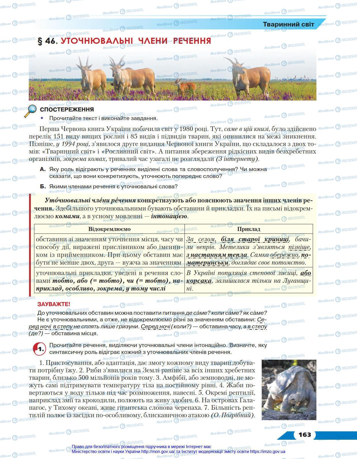 Підручники Українська мова 8 клас сторінка 163