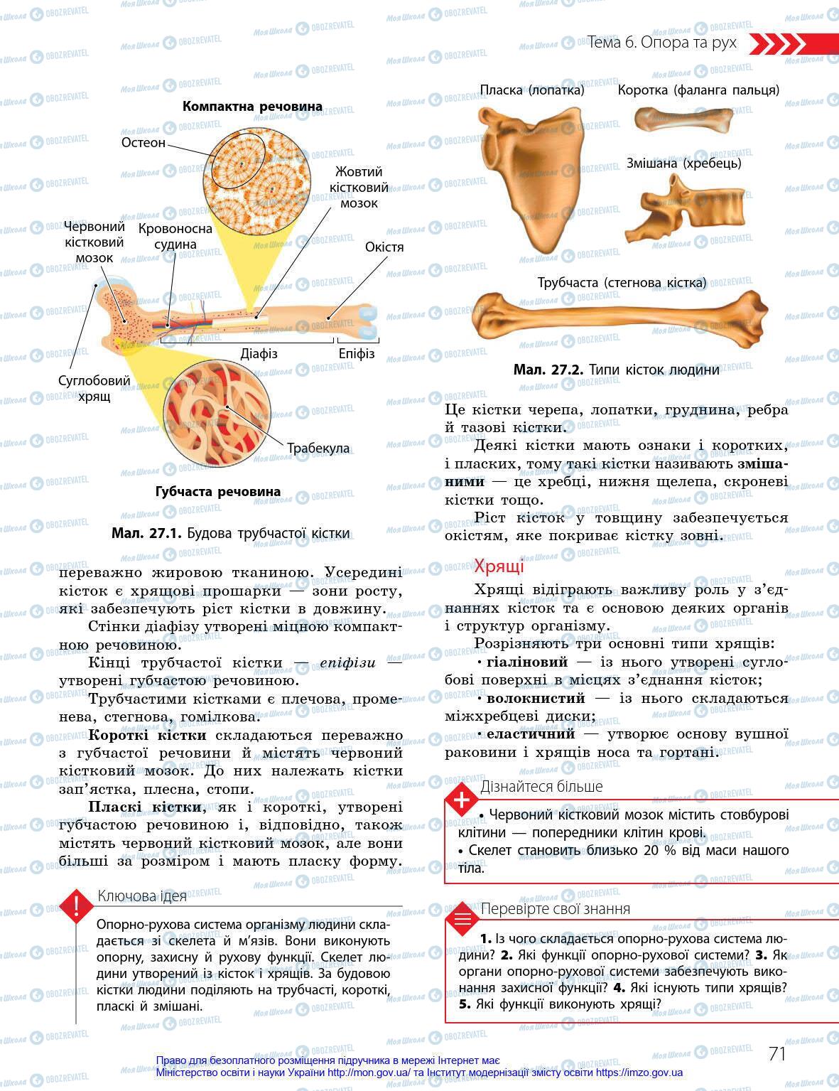 Підручники Біологія 8 клас сторінка 71