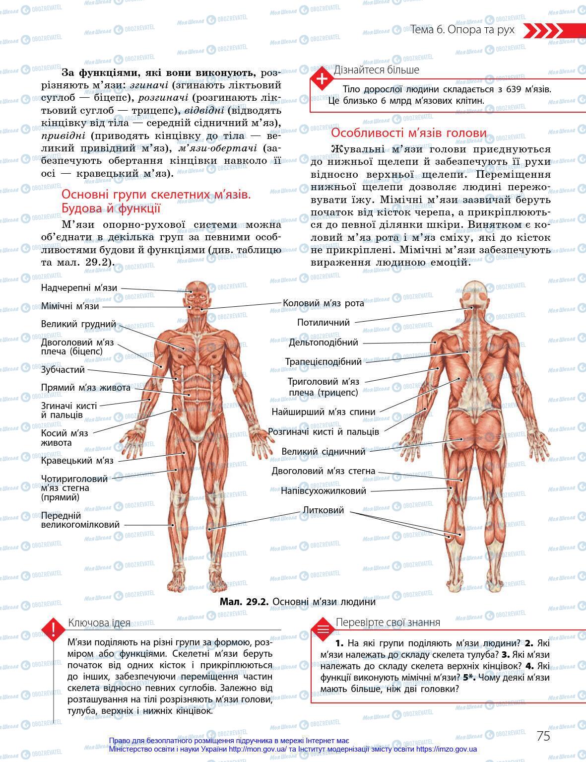 Підручники Біологія 8 клас сторінка 75