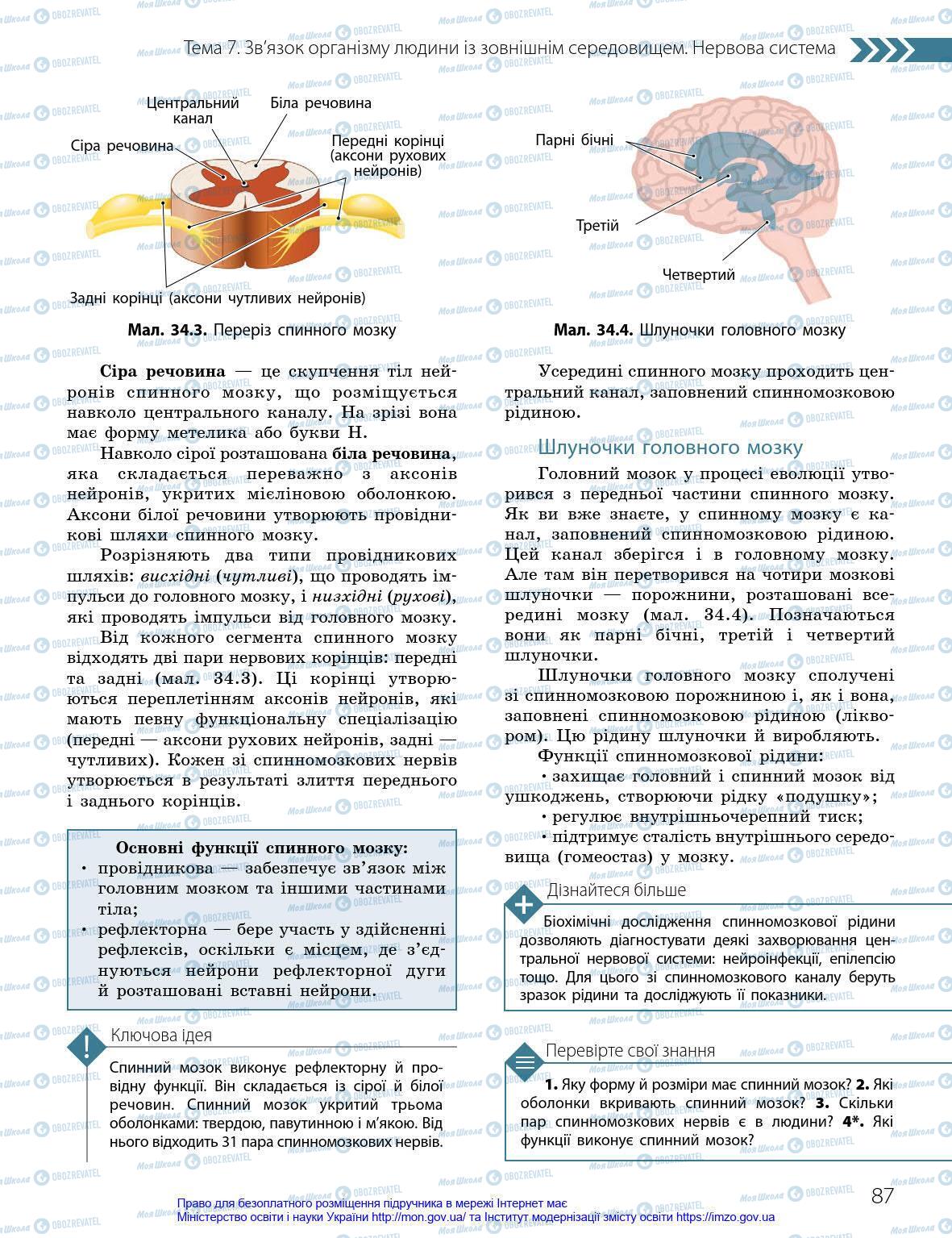 Учебники Биология 8 класс страница 87