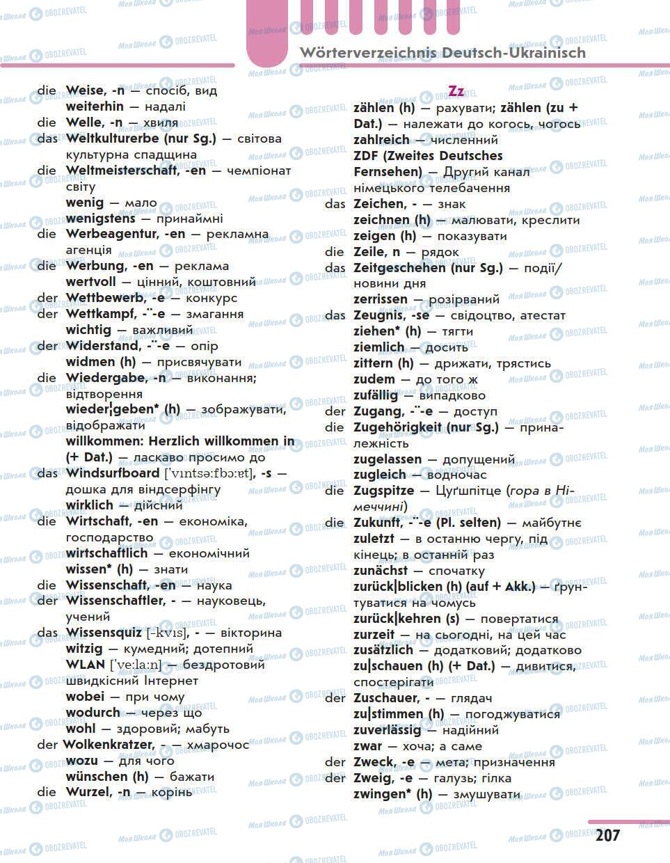 Учебники Немецкий язык 11 класс страница 207
