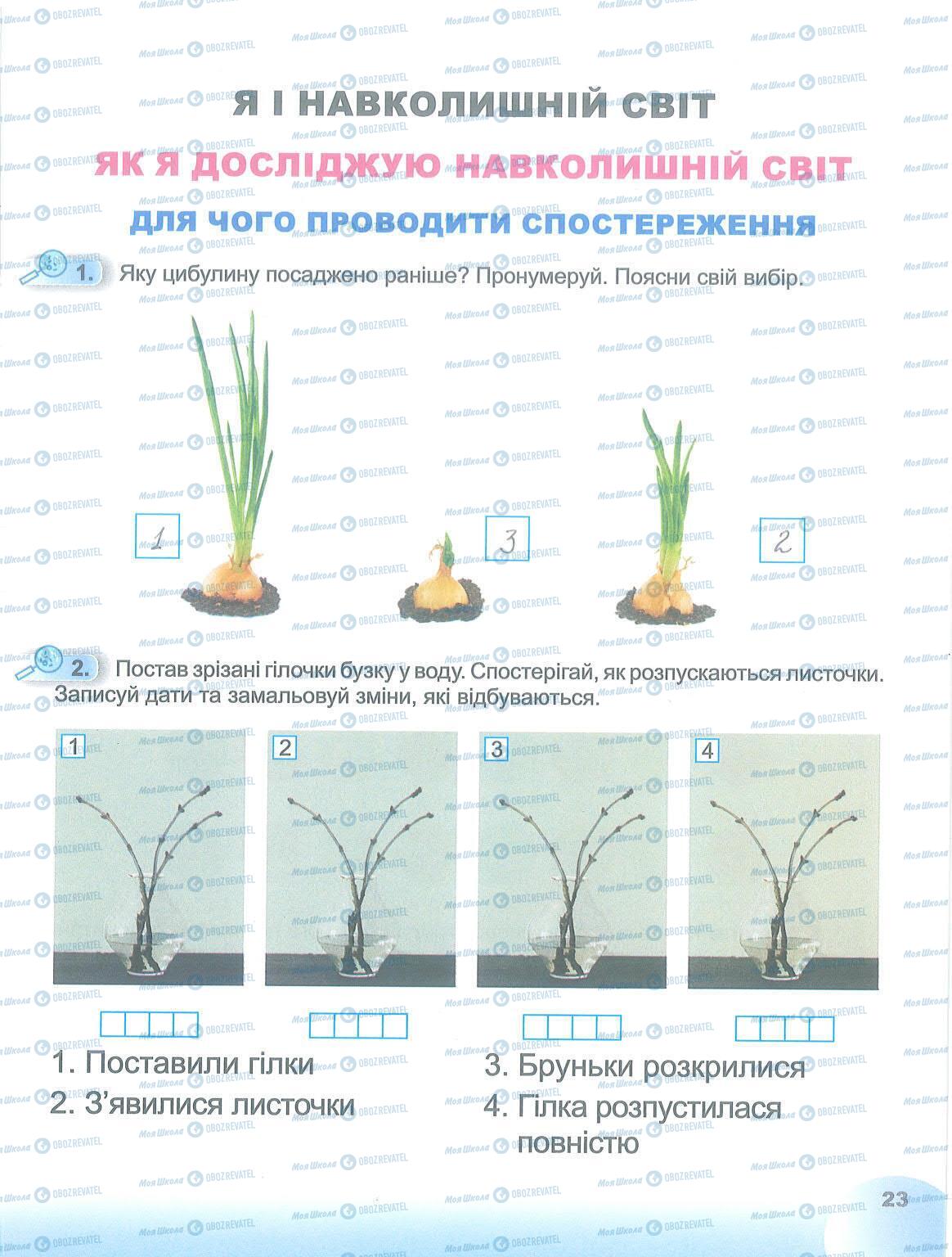 ГДЗ ЯДС (исследую мир) 1 класс страница 23