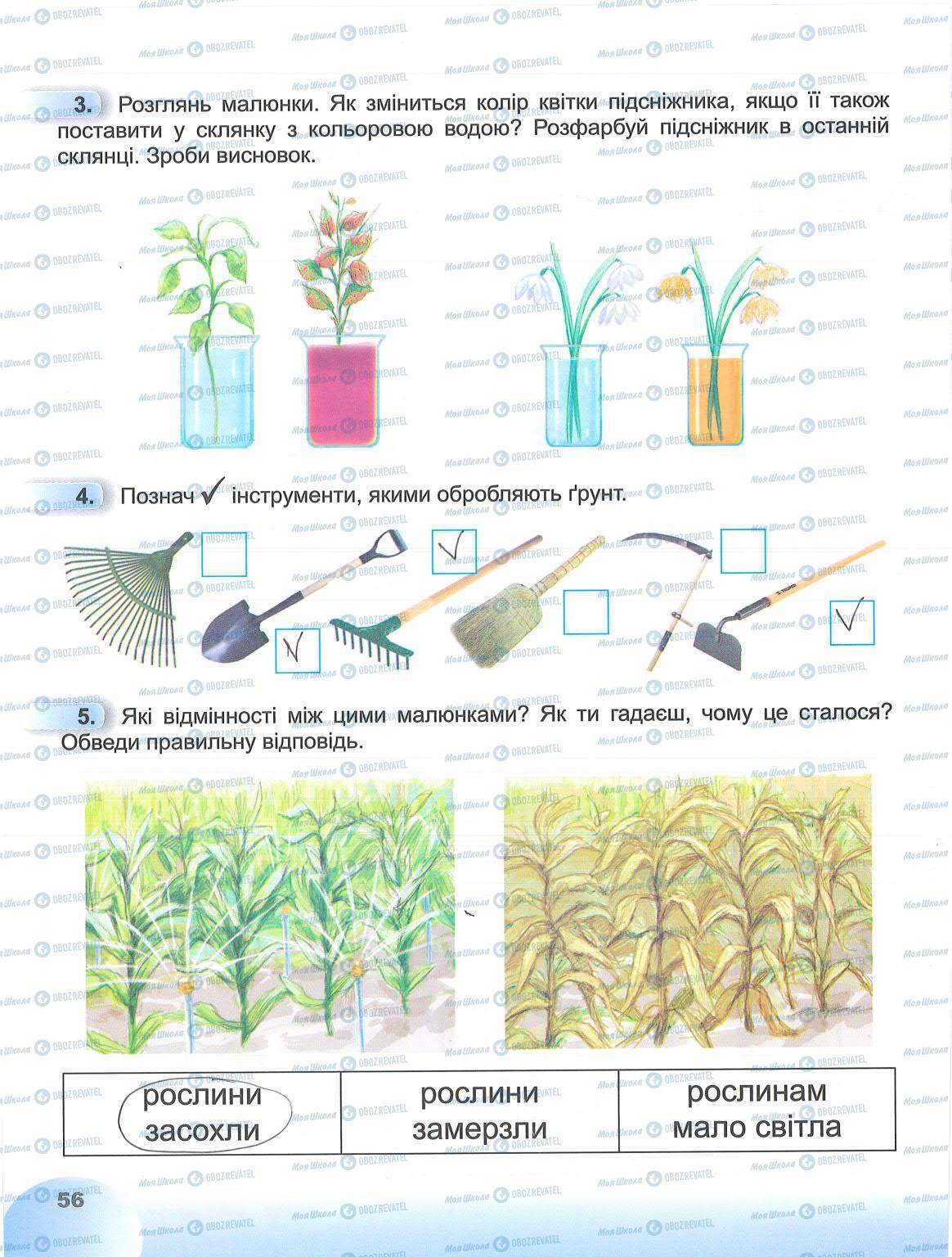 ГДЗ Я досліджую світ 1 клас сторінка 56