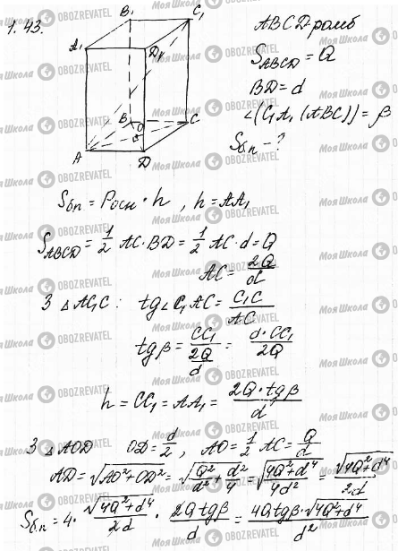 ГДЗ Математика 11 класс страница 43