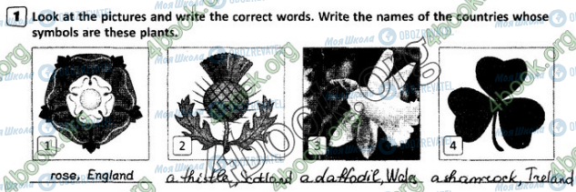 ГДЗ Англійська мова 8 клас сторінка Стр.72 (1)