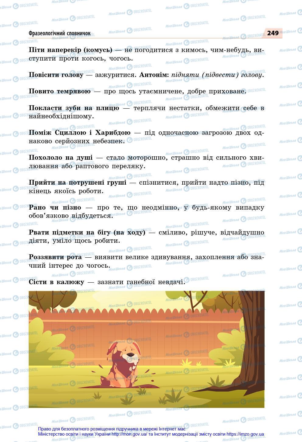 Підручники Українська мова 7 клас сторінка 249