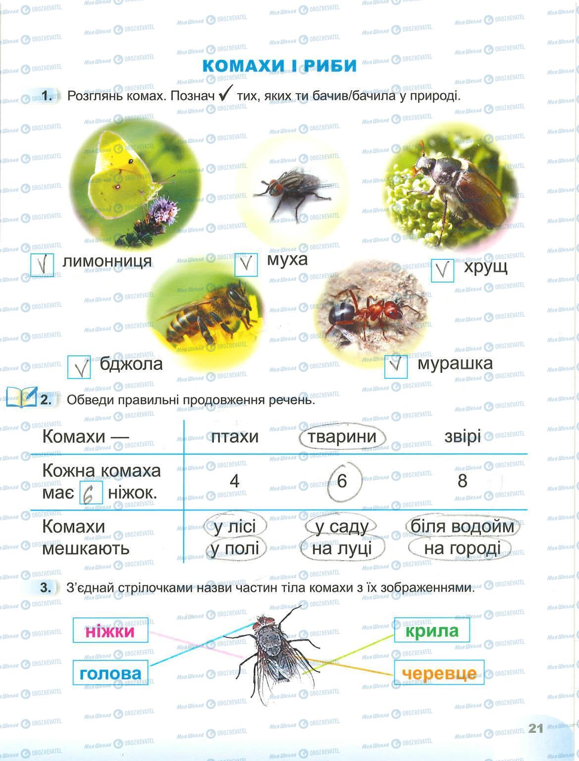 ГДЗ Я досліджую світ 1 клас сторінка 21