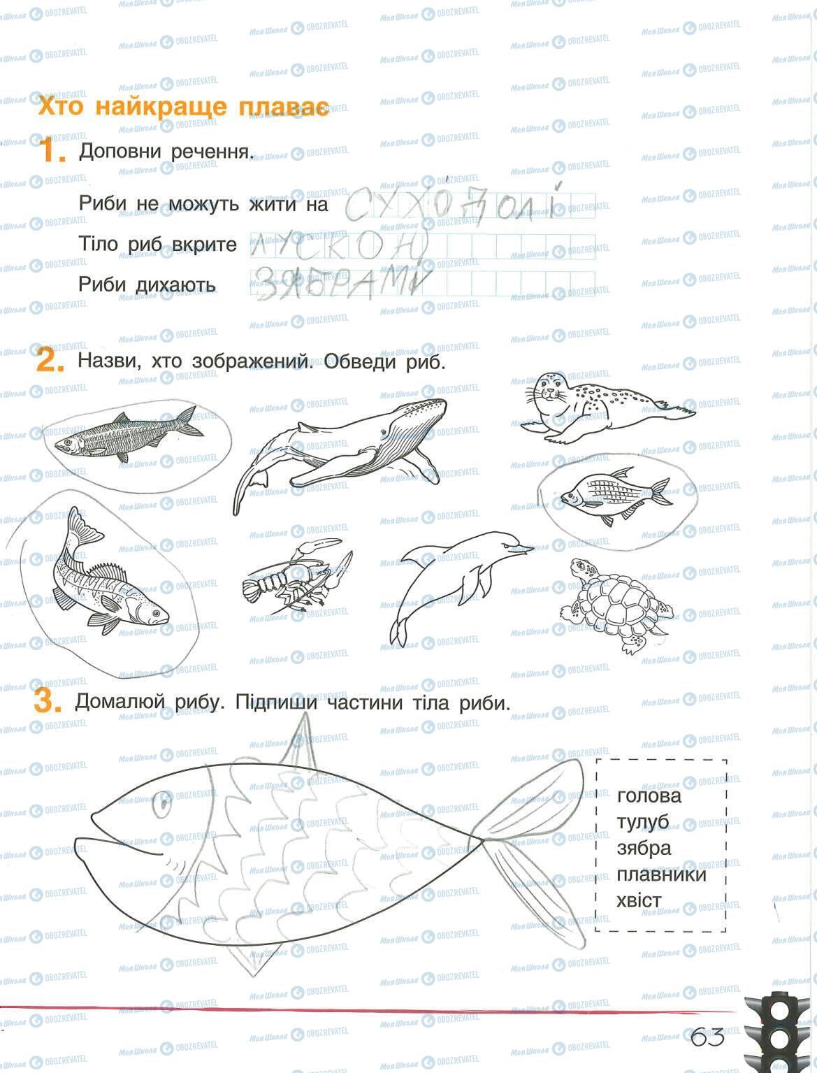 ГДЗ Я досліджую світ 1 клас сторінка 63