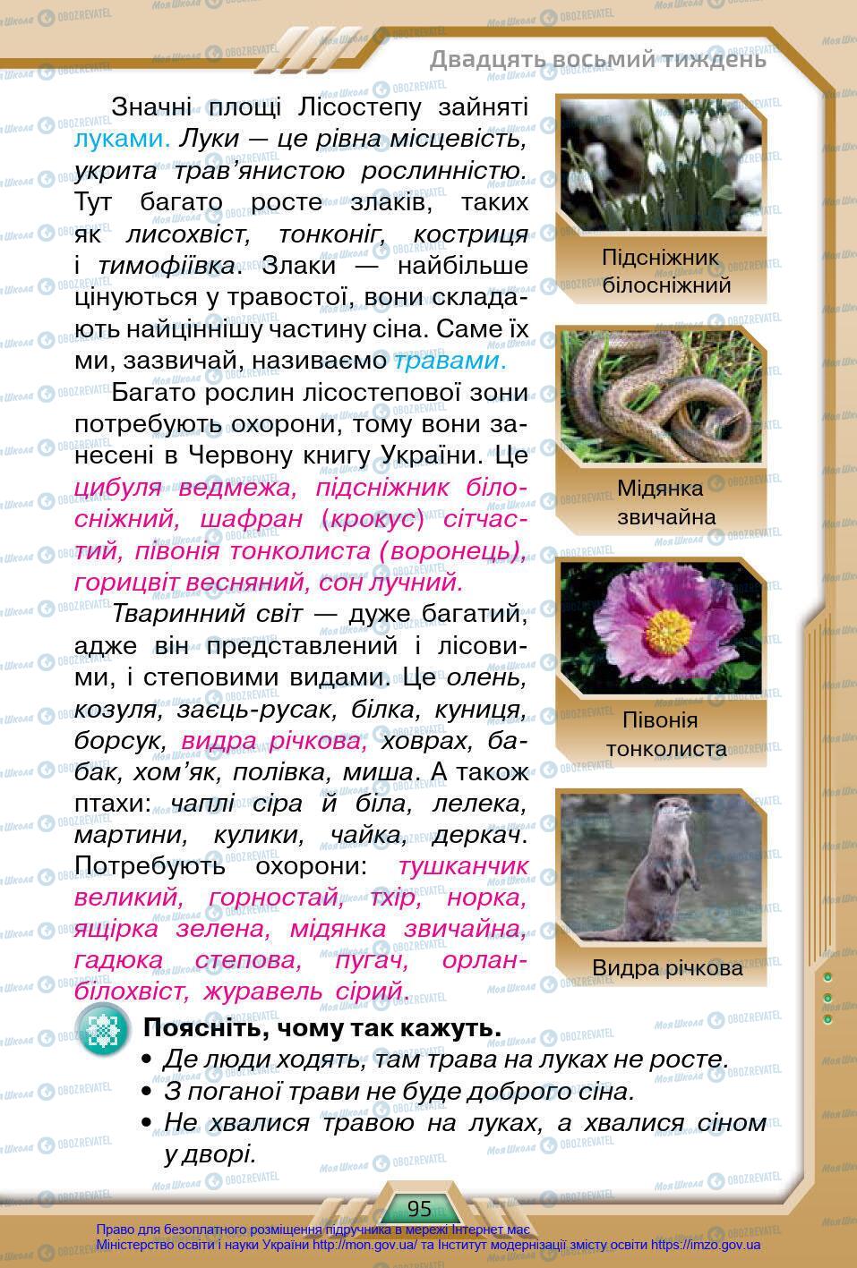 Підручники Я у світі 4 клас сторінка 95