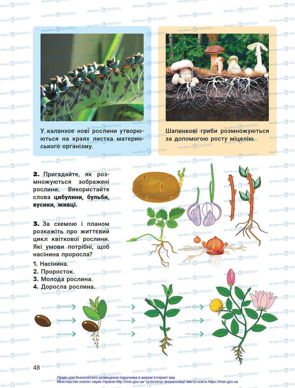 Підручники Я у світі 4 клас сторінка 48
