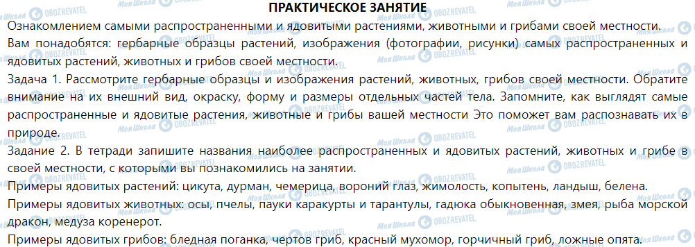 ГДЗ Природознавство 5 клас сторінка ПРАКТИЧЕСКОЕ ЗАНЯТИЕ