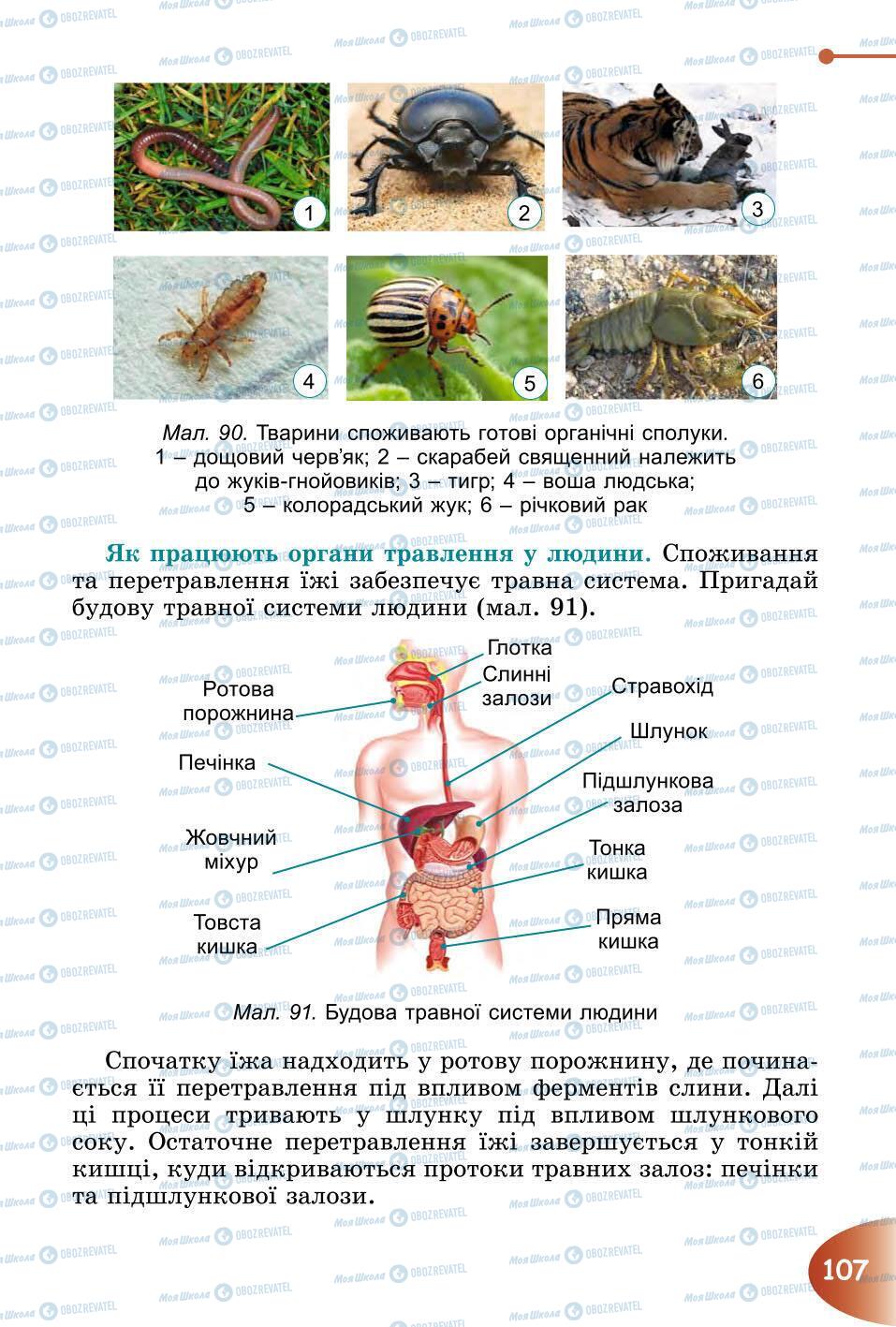 Підручники Природознавство 6 клас сторінка 107