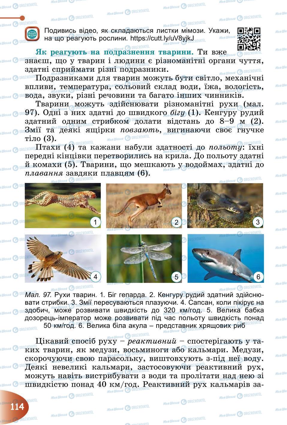 Підручники Природознавство 6 клас сторінка 114