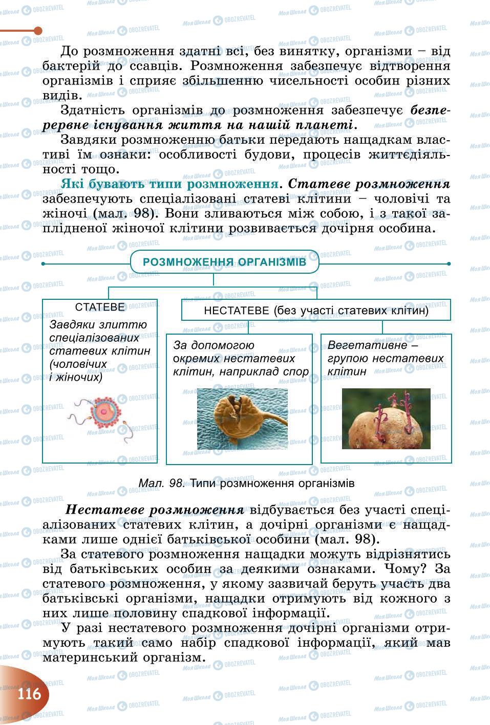 Учебники Природоведение 6 класс страница 116