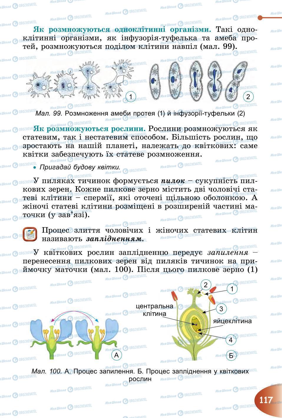 Учебники Природоведение 6 класс страница 117