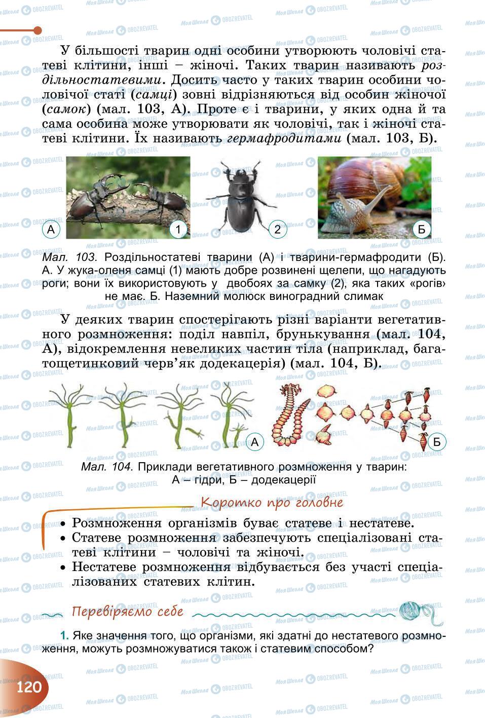 Учебники Природоведение 6 класс страница 120