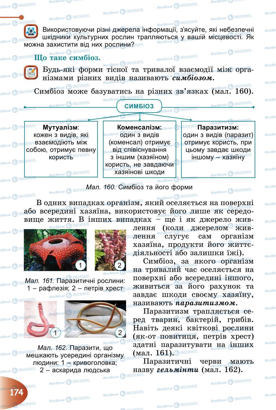 Підручники Природознавство 6 клас сторінка 174