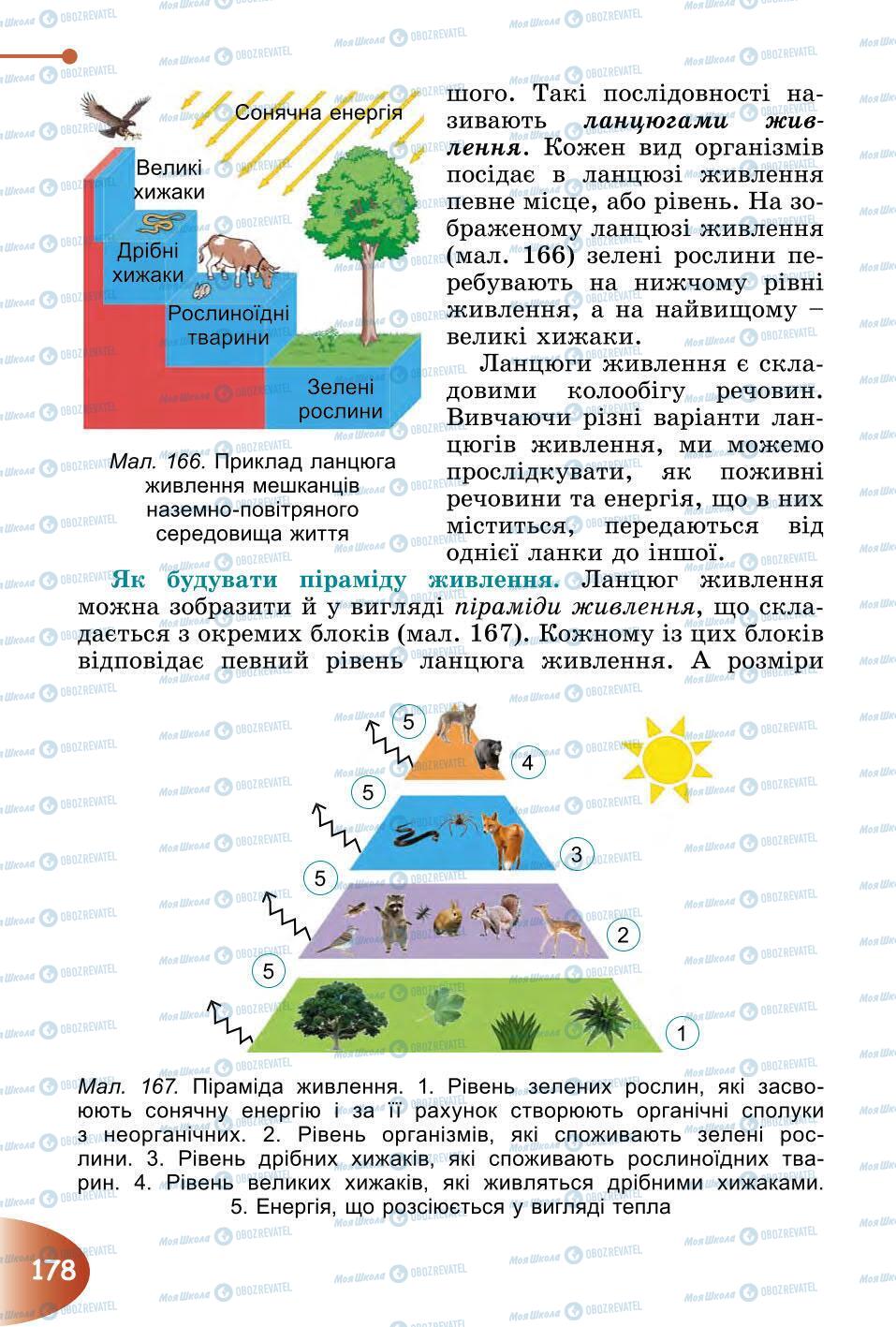 Підручники Природознавство 6 клас сторінка 178