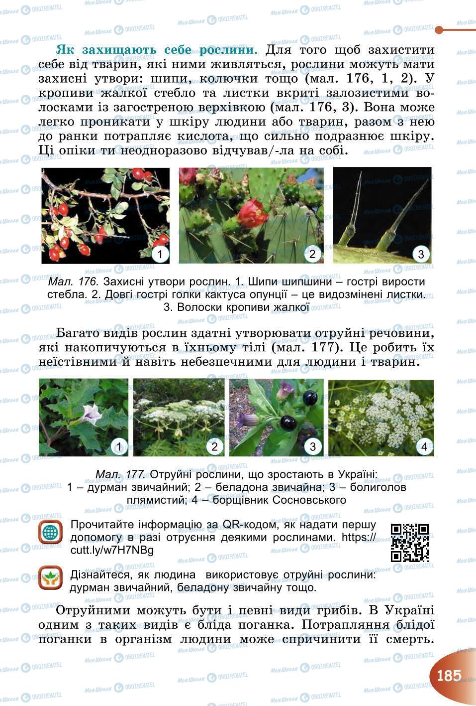 Підручники Природознавство 6 клас сторінка 185