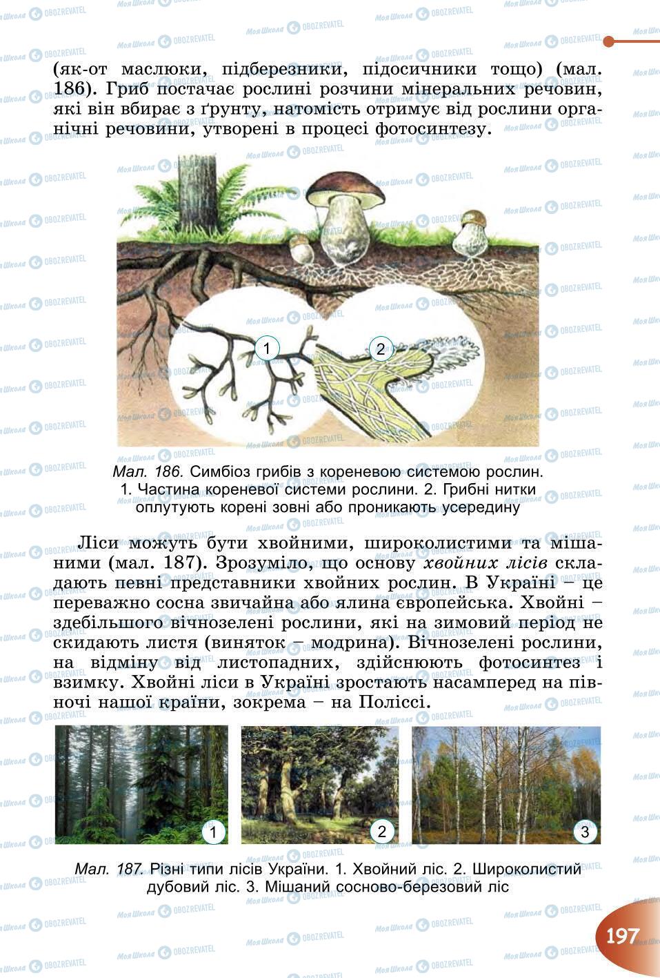 Підручники Природознавство 6 клас сторінка 197