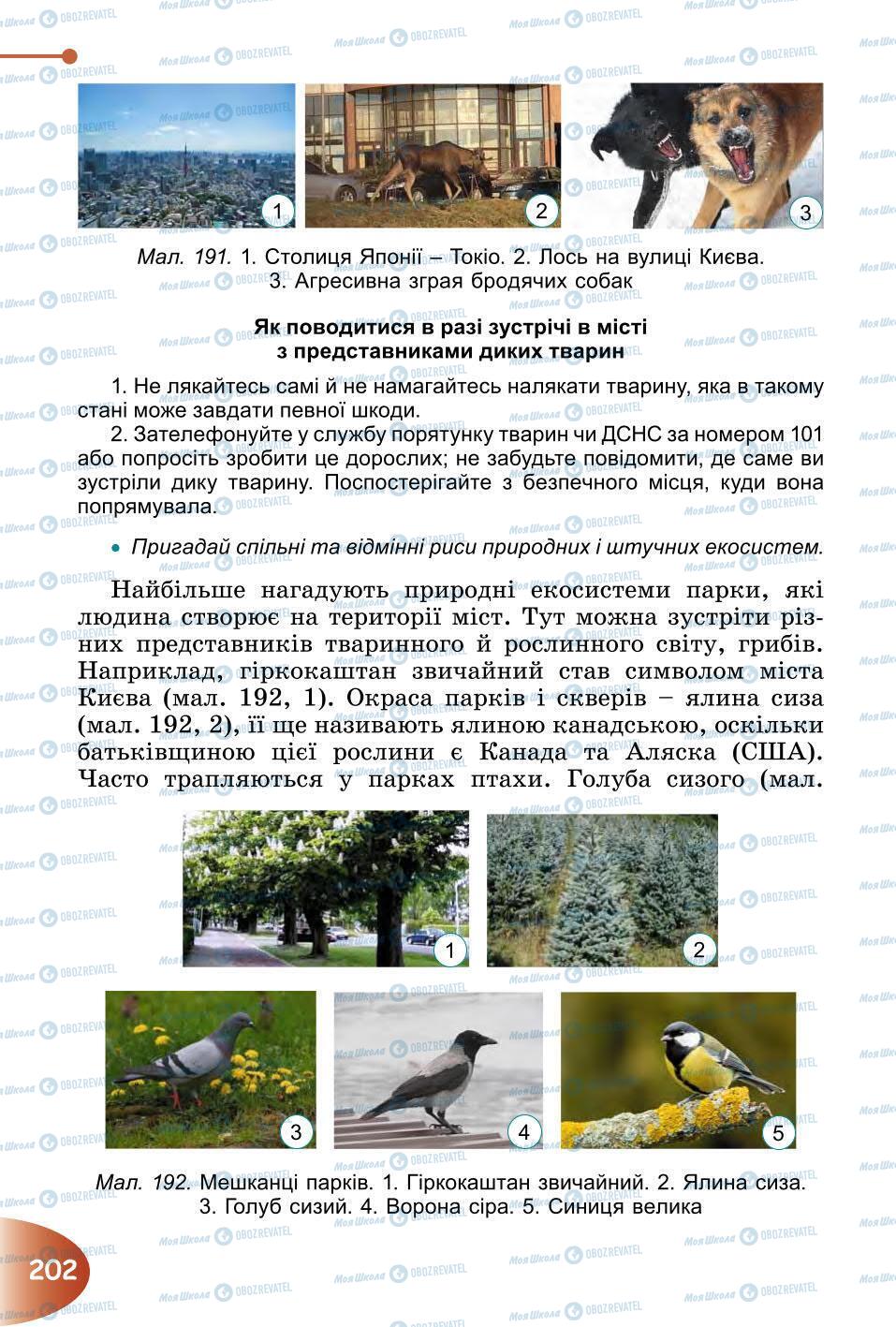 Підручники Природознавство 6 клас сторінка 202