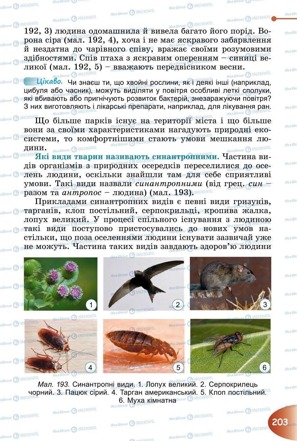 Підручники Природознавство 6 клас сторінка 203