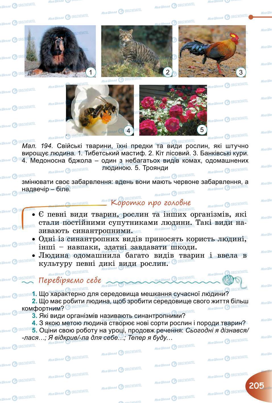 Підручники Природознавство 6 клас сторінка 205