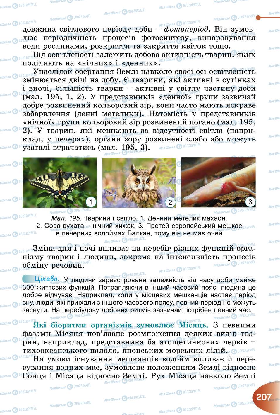 Підручники Природознавство 6 клас сторінка 207